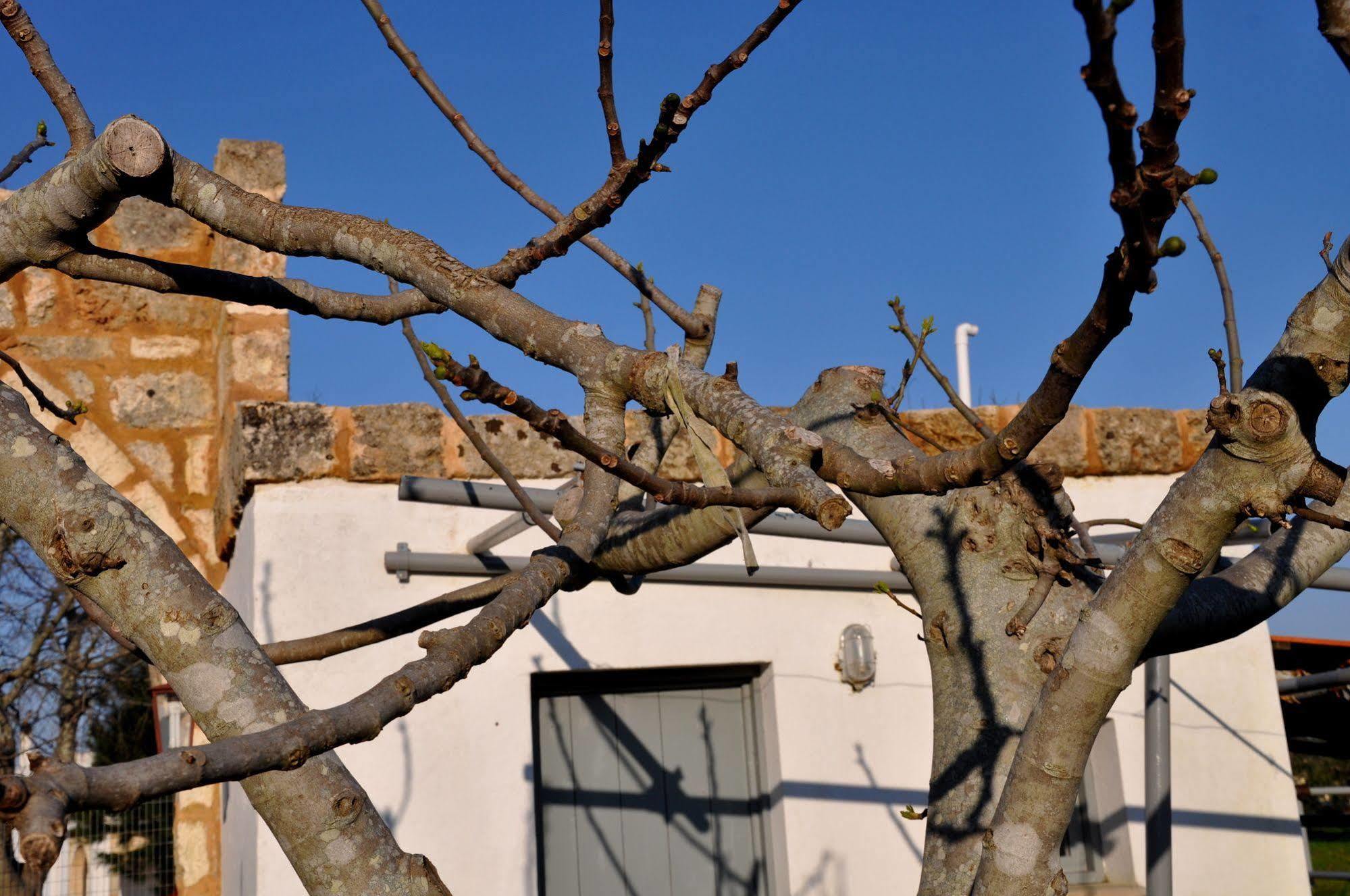 Masseria Uccio Tricase Luaran gambar